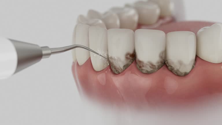 Reliable Dental contractor in Smithville, TX by Dentist Open Now